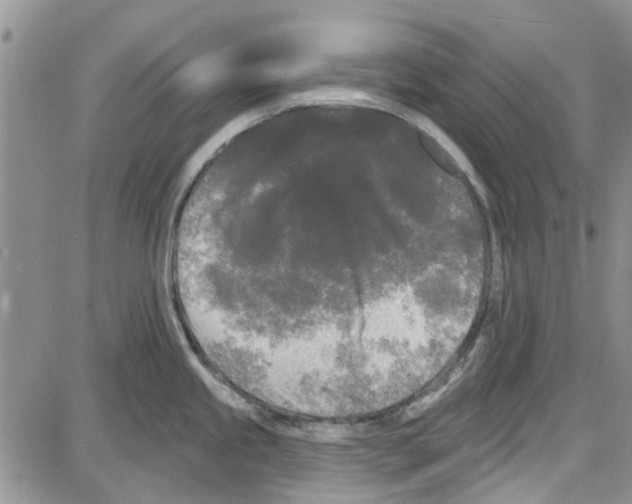 X0000087631245200705311321