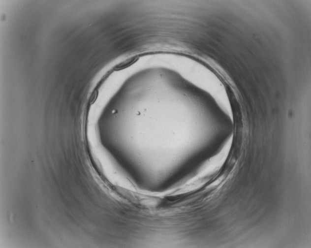 X0000087631246200705311321