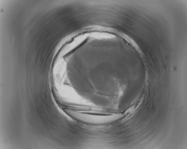 X0000087631247200705311321