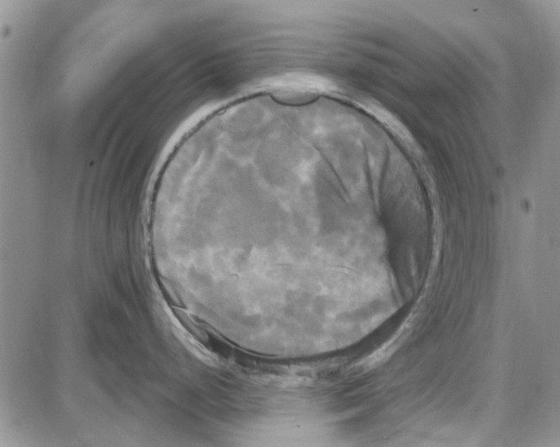 X0000087631248200705311321