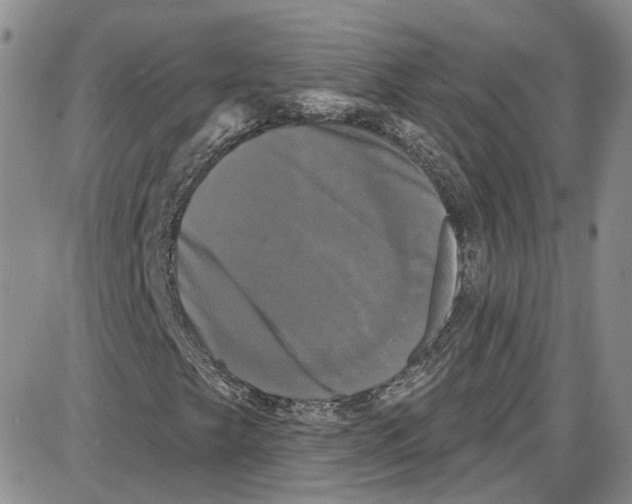 X0000087631249200705311320