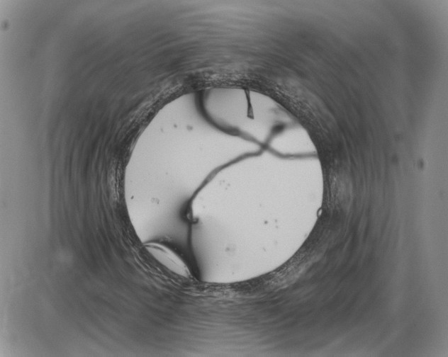 X0000087631250200705311320