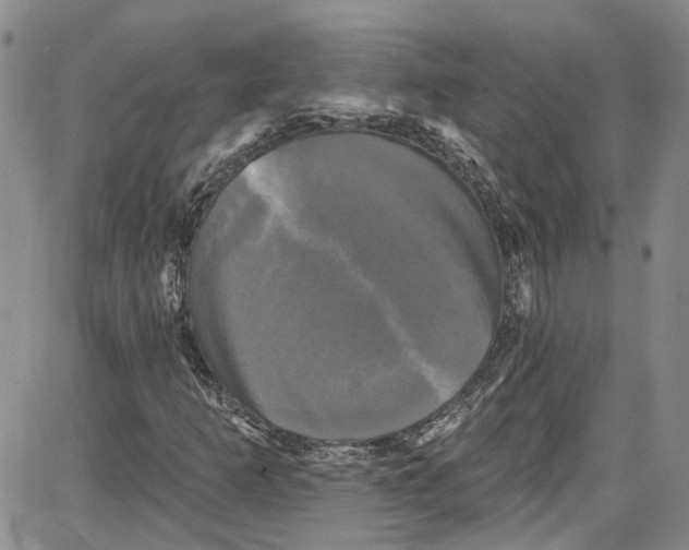 X0000087631253200705311320