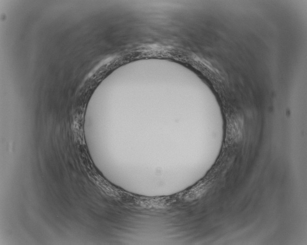 X0000087631254200705311320