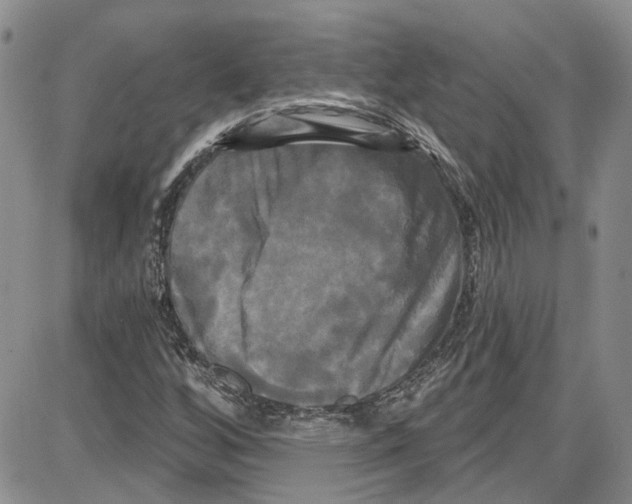 X0000087631256200705311320