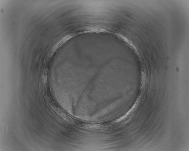 X0000087631257200705311320