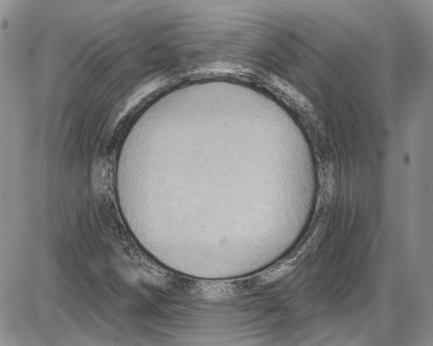 X0000087631258200705311320