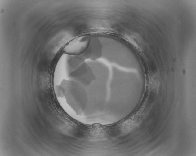 X0000087631259200705311320