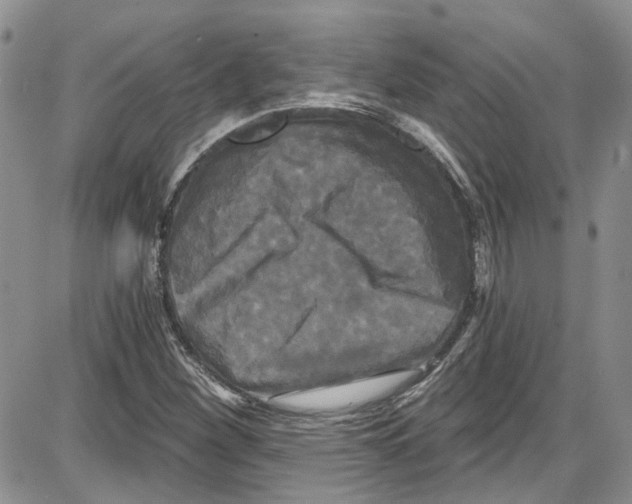 X0000087631260200705311320