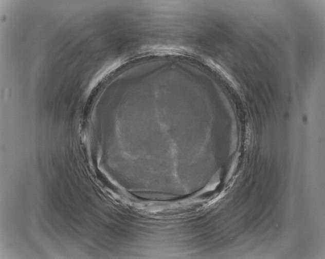 X0000087631261200705311320