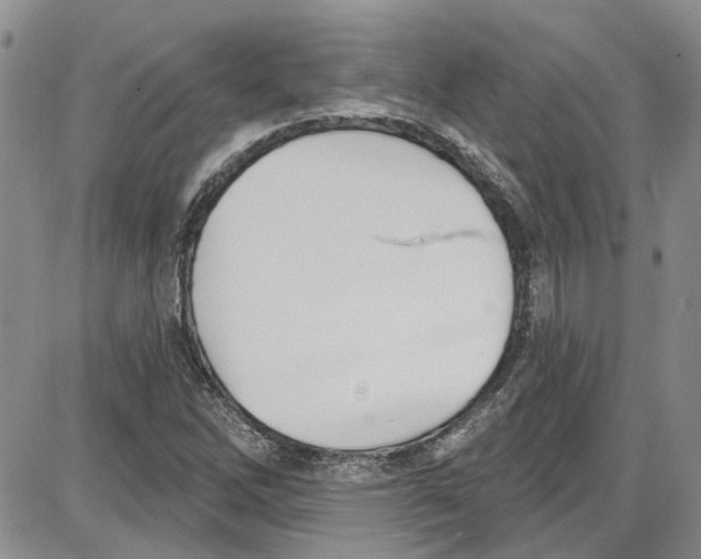 X0000087631262200705311320