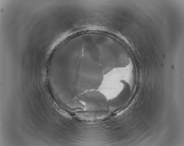 X0000087631263200705311320