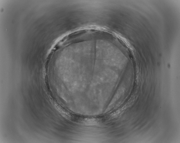 X0000087631264200705311320