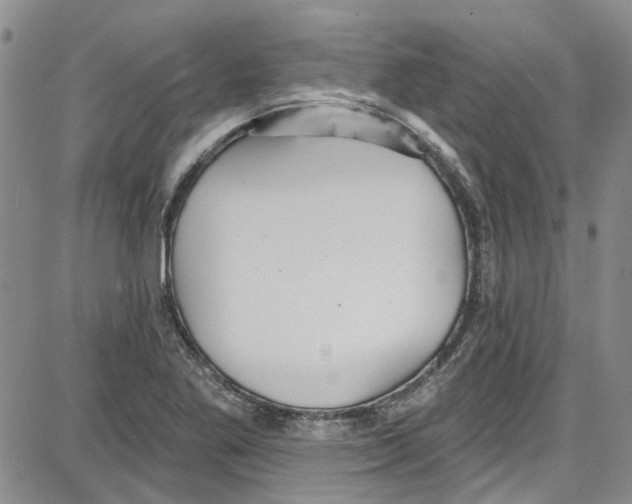 X0000087631269200705311320