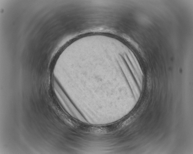 X0000087631270200705311320