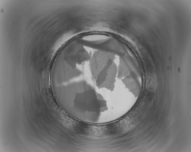 X0000087631271200705311320