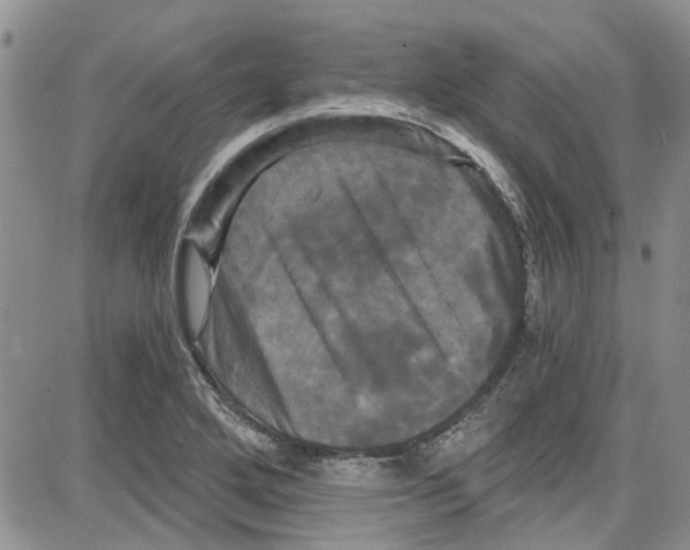 X0000087631272200705311319