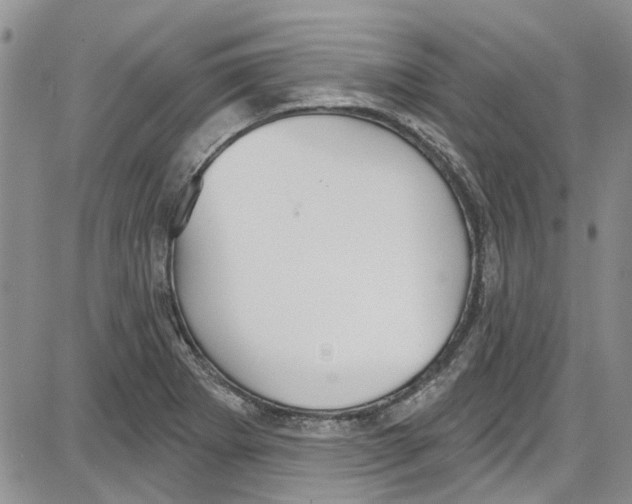 X0000087631273200705311319