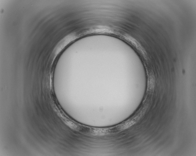 X0000087631274200705311319