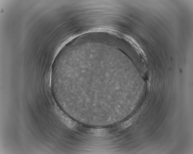 X0000087631276200705311319