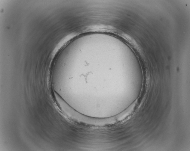 X0000087631277200705311319