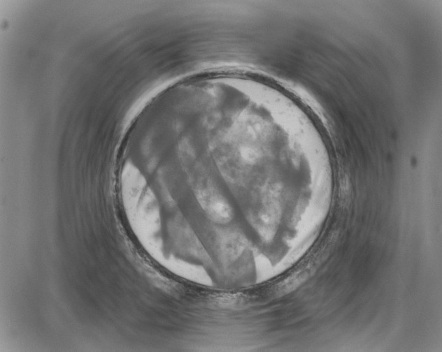 X0000087631279200705311319