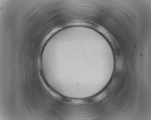 X0000087631282200705311319