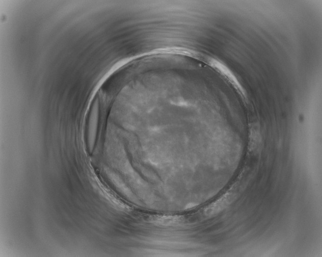 X0000087631284200705311319