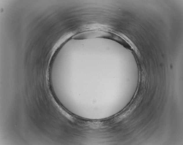 X0000087631285200705311319