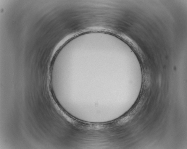 X0000087631286200705311319