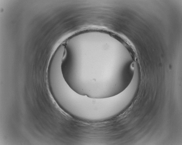 X0000087631287200705311319