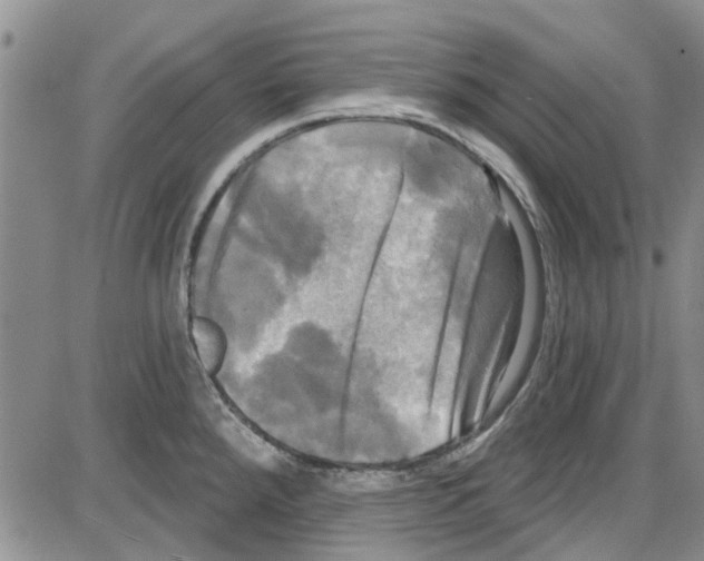 X0000087631288200705311319