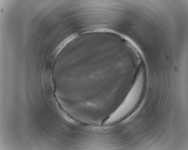 X0000087631289200705311319