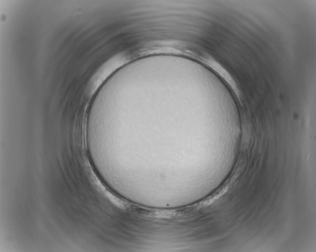 X0000087631290200705311319