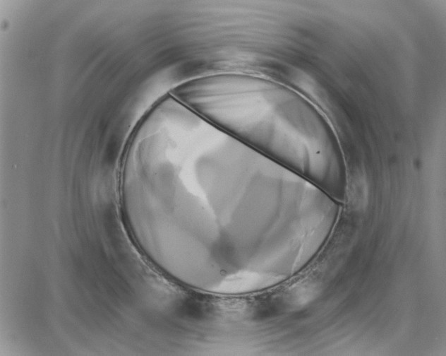 X0000087631291200705311319