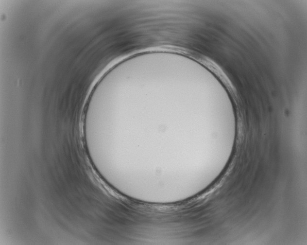 X0000087631292200705311319