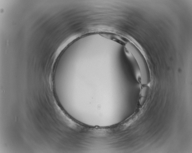 X0000087631293200705311319