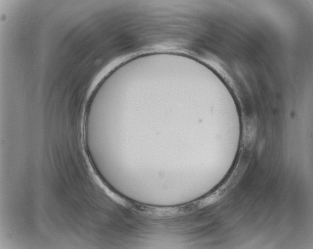 X0000087631294200705311319