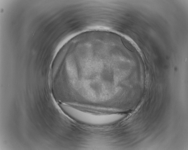 X0000087631295200705311319