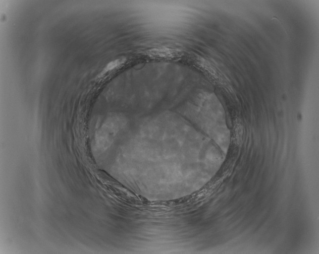 X0000087631297200705311318