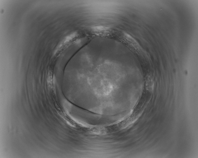 X0000087631298200705311318