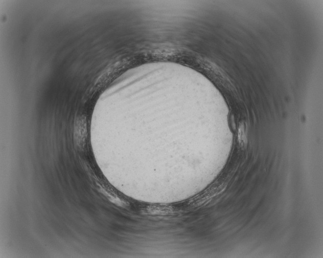 X0000087631299200705311318