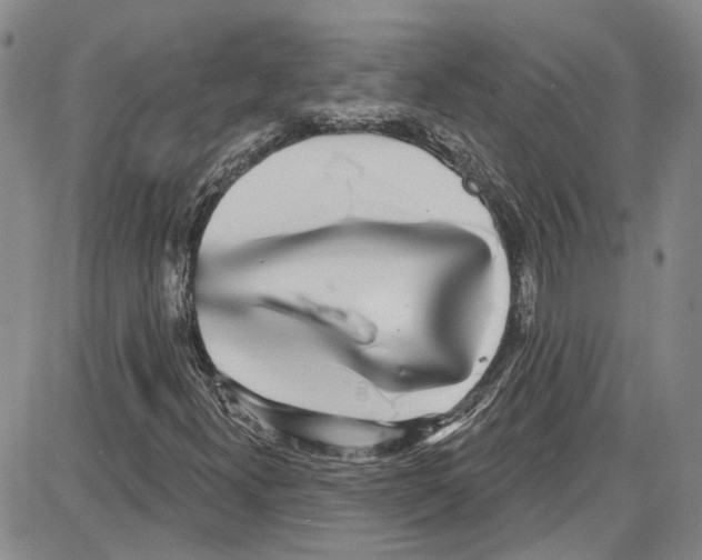 X0000087631300200705311318