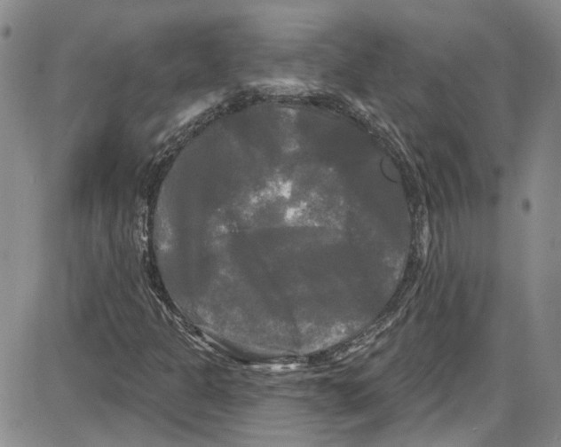 X0000087631301200705311318