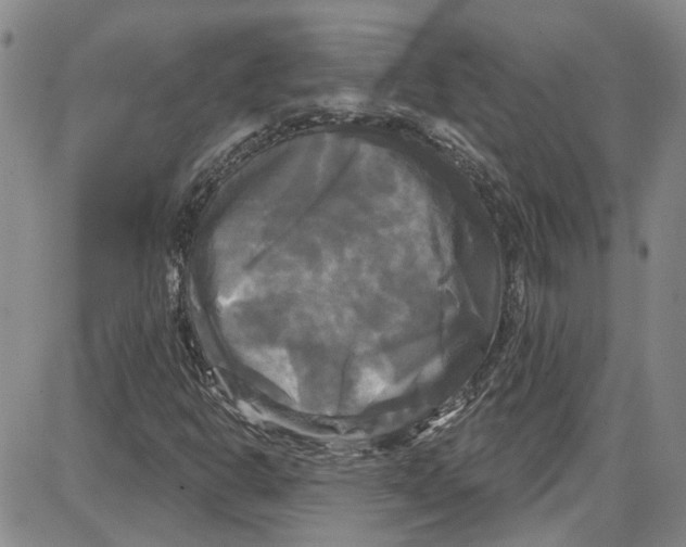 X0000087631302200705311318