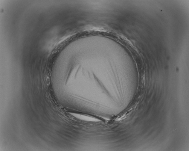 X0000087631303200705311318