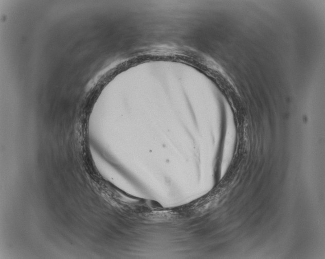 X0000087631304200705311318