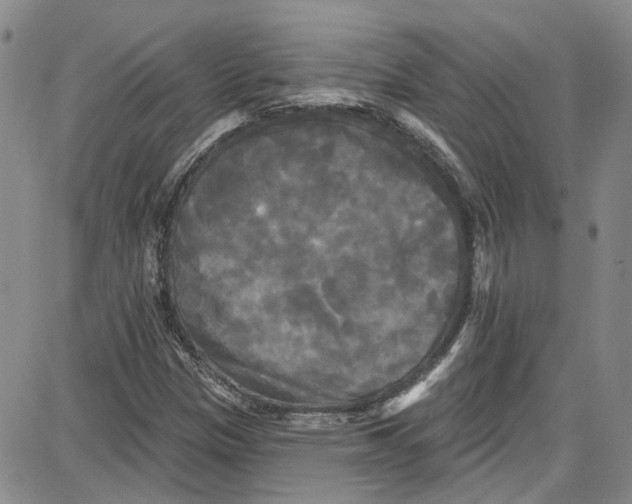 X0000087631305200705311318