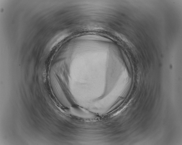 X0000087631306200705311318