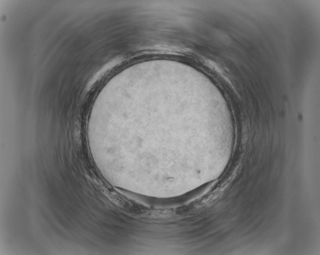 X0000087631307200705311318